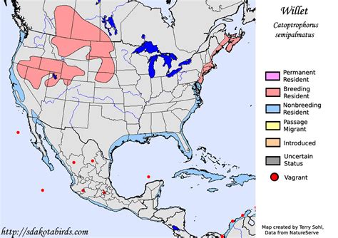 Willet - Species Range Map