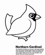 Cardinal Coloring Pages  Best For Kids sketch template