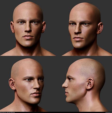 Head Anatomy Anatomy Sculpture Face Reference 3d Face - vrogue.co