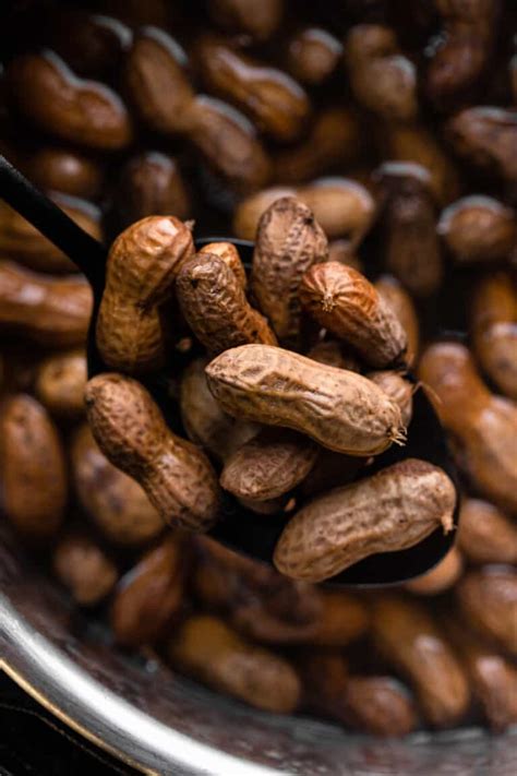 Instant Pot Boiled Peanuts - Food Faith Fitness