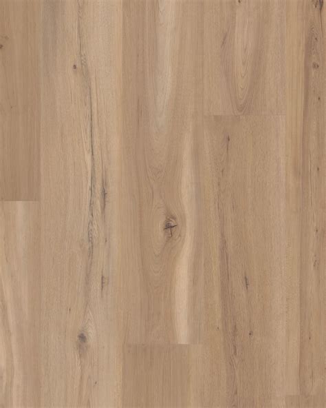 Coretec Premium Blonde Oak - LVT | Carpet Exchange