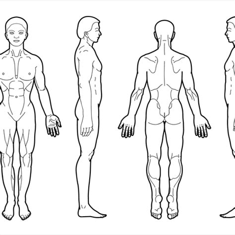 Body Diagram for Professional Massage Chart: front, back, left and right views | Icon or button ...