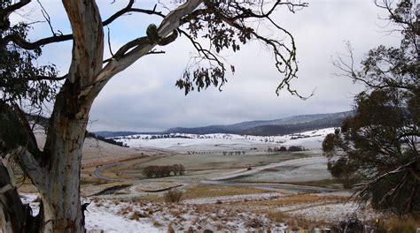 Cobungra under a blanket of snow. East Gippsland - Australia. Photo by Carin | Victoria ...