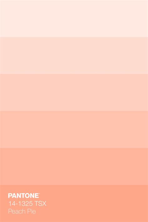 Flower Color Palette Peach Paint Colors Peach Color Palettes Peach | The Best Porn Website