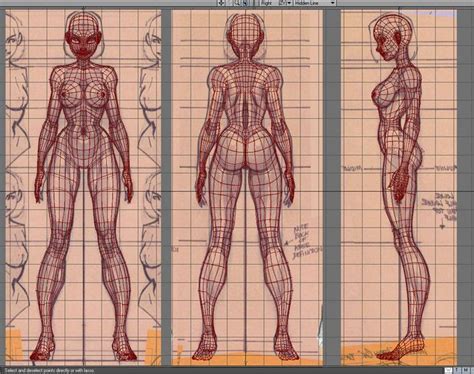 Anime Character Reference Sheet | Female character 3D wireframe front ...