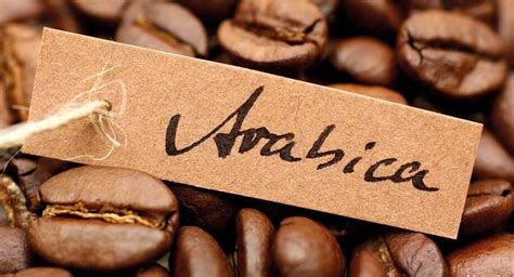 Best Arabica Coffee Beans Comparison Table [2020] TOP 7 UAE