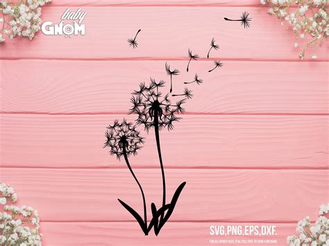 a dandelion with seeds blowing in the wind against a pink wood plank background