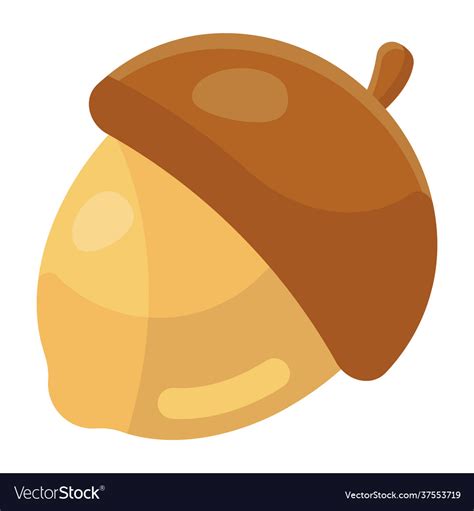 Acorn Royalty Free Vector Image - VectorStock