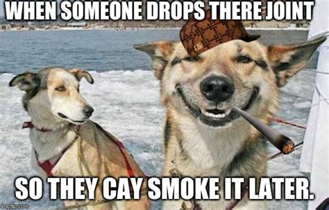 Original Stoner Dog Meme - Imgflip