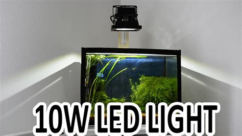 10W LED Floodlight Aquarium - YouTube