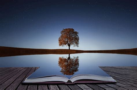 Win your life by harnessing The Power Of Reflection