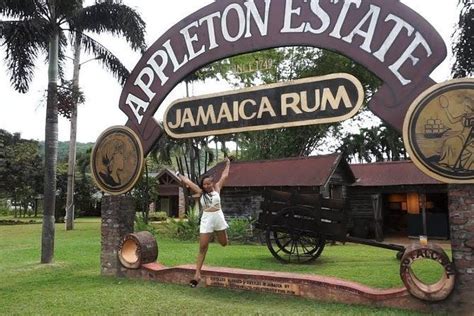 Appleton Estate Rum & Ys Falls Tour on TourMega - TourMega