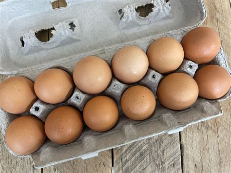 8 Dozen Bundle Large Brown Eggs - Dutch Meadows Farm