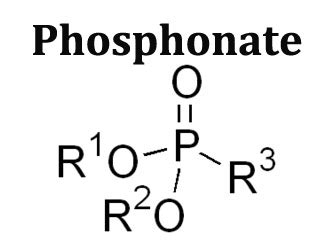 Phosphonate - Assignment Point