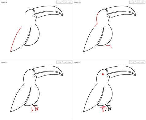 How to draw Toucan for kids | Drawings, Drawing for kids, Drawing tutorials for kids