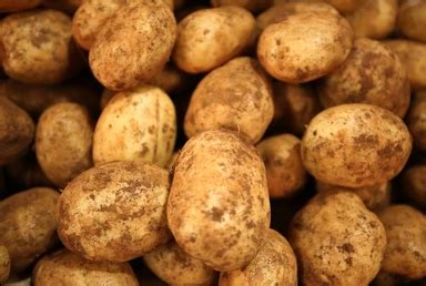 Brushed Sebago Potatoes 1KG – Riverview Produce