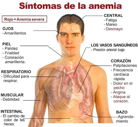 Propedeutico UNADM: Observaciones de pelicula "Un milagro para Lorenzo ...