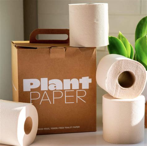 Wipe Responsibly: The 16 Best Eco-Friendly Toilet Paper Brands for a Greener Tomorrow