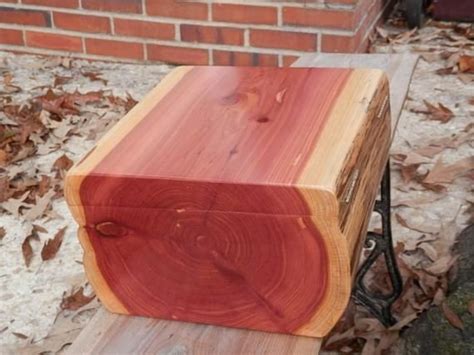 Cedar Wood: Origin, type and uses