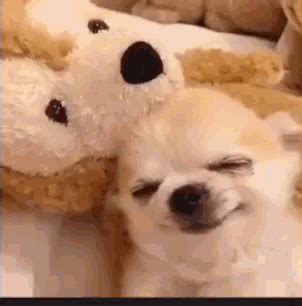 Dog Sleeping GIF - Dog Sleeping Cuddle - Discover & Share GIFs