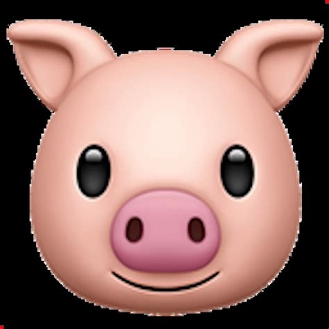 🐷 Pig Face Emoji Copy Paste 🐷