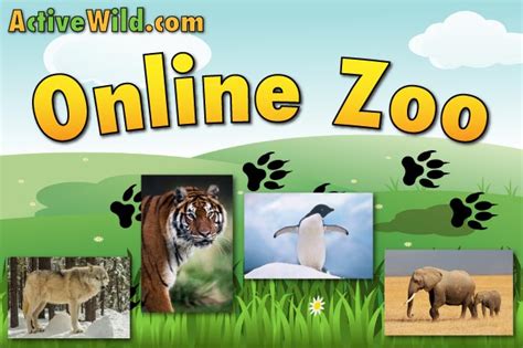 Online Zoo With Pictures, Facts & Videos: A Virtual Zoo For Kids & Adults