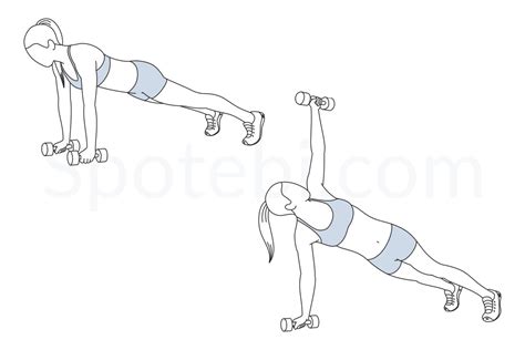 Dumbbell Plank Rotation | Illustrated Exercise Guide