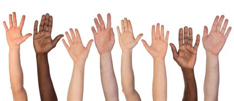 How evolution has equipped our hands with five fingers | Stock photos, Skin, Temptation island