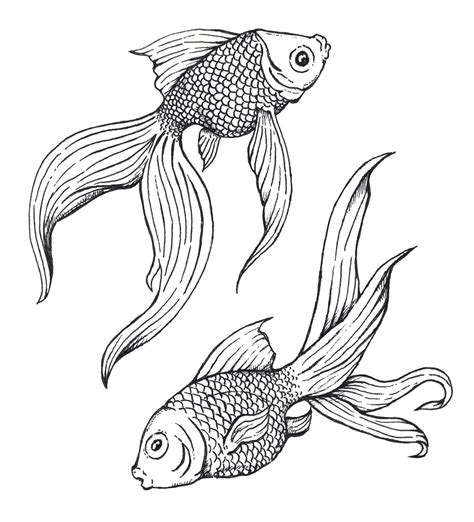 Gold Fish - Pen & Ink by Wendell Cisco II | Fish drawings, Art drawings, Line art drawings