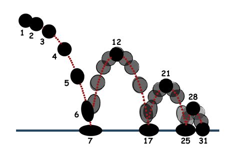 dentrodabiblia: bouncing ball animation