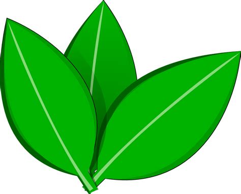 Free Leaves Vector Png, Download Free Leaves Vector Png png images, Free ClipArts on Clipart Library