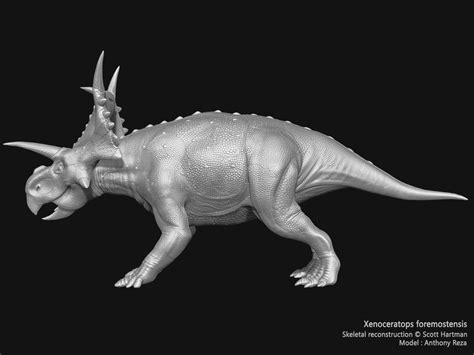 Anthony R - Xenoceratops foremostensis