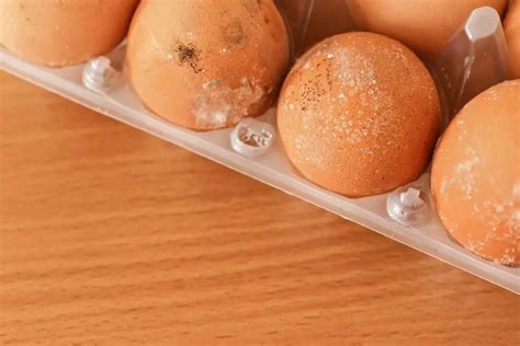 Mold On Eggs: Are They Safe To Eat? And How To Stop It – MoldTutor.com