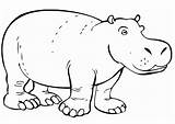 Coloring Page Hippopotamus  Free Printables Img 12842 sketch template