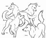Free Printable Wolf Coloring Pages For Kids  Animal Place sketch template