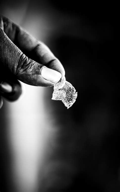 Free Images : hand, black and white, plant, ring, finger, darkness, grayscale, close up ...