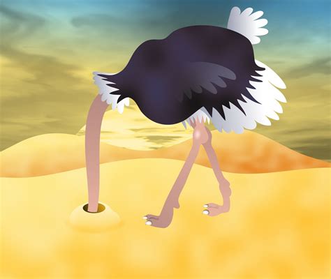 Ostrich Clip Art Free Stock Photo - Public Domain Pictures