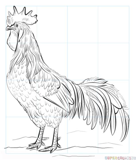 How to draw a Rooster step by step. Drawing tutorials for kids and beginners. | Animal drawings ...