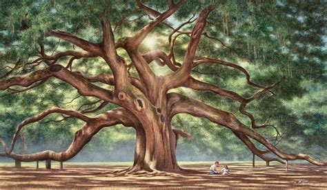 Angel Oak | Southern art, Angel oak, Landscape art