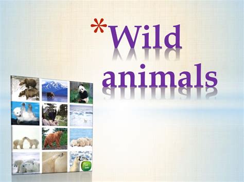 PPT - Wild animals PowerPoint Presentation, free download - ID:2572398