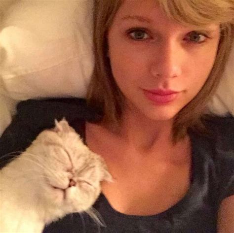 Taylor Swift's Cat Now 'Owes Her $40 Million' - The Dodo