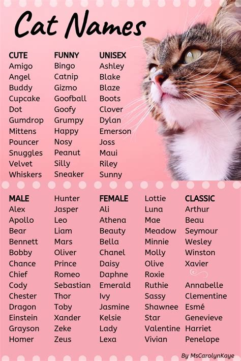 This list of cat names offers ideas for male and female cats. Whether ...