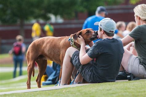 Dog licks his owner's face stock photo. Image of happiness - 72768334