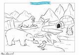 North Pole colouring  Petit Fernand sketch template