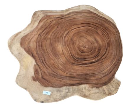 Wholesale Unique Saur Wood Round Coffee Table, generous 95cm -115cm across one of kind 100% ...