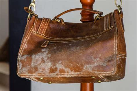 How To Remove Mold From Leather Bag