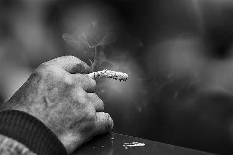 Seniors, Even Those in Their 80s, That Quit Smoking Are Less Likely to Die a Premature Death