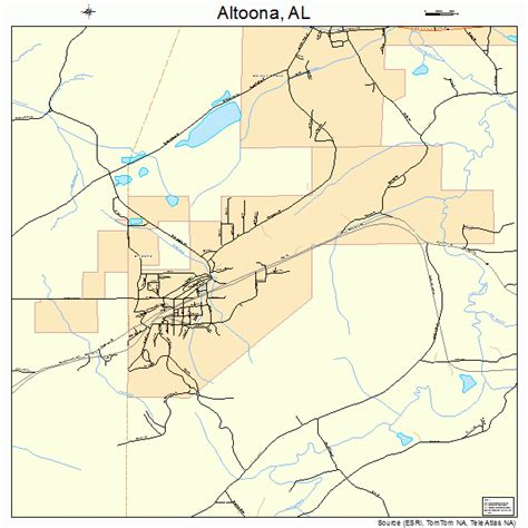 Altoona Alabama Street Map 0101660