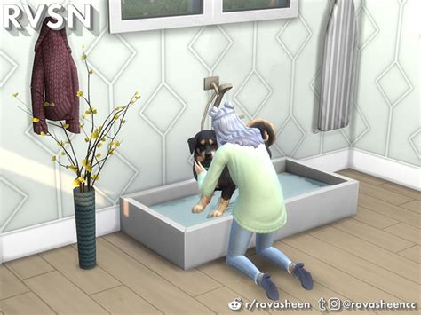 Sims 4 Dog CC: Dog Beds, Dog Houses & More – FandomSpot