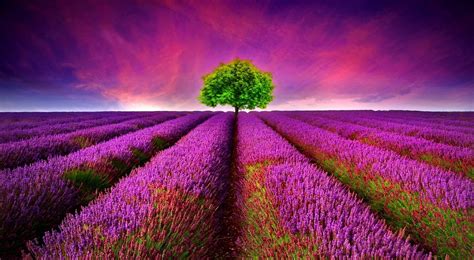 Beautiful Nature Wallpapers Collection | Most beautiful places in the ...